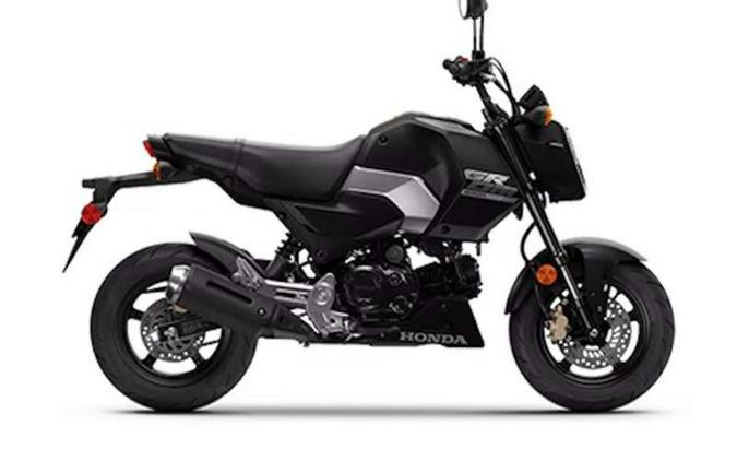 2025 Honda® MSX125SP