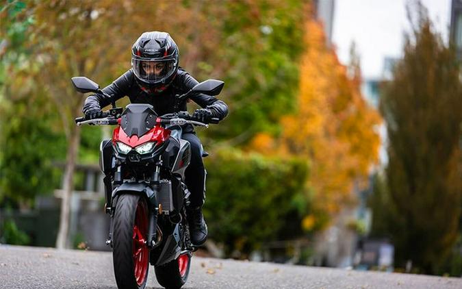 2025 Kawasaki Z500 SE ABS (ER500FSFAN)