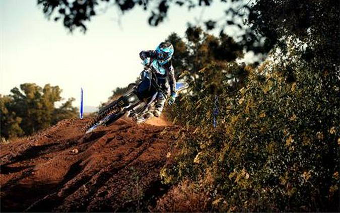 2021 Yamaha YZ250F Monster Energy Yamaha Racing Edition