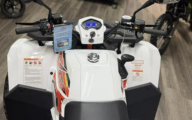 2025 Kayo Bull 300 EFI