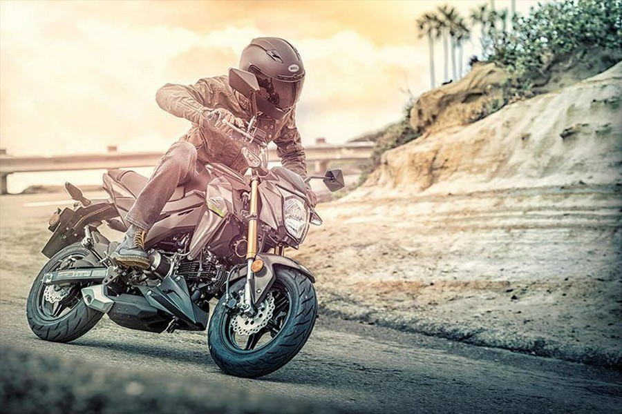 2020 Kawasaki Z125 Pro