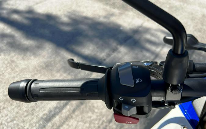2025 BMW G 310 GS