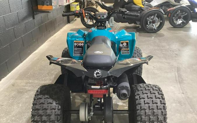 2026 Can-Am® Renegade 110 EFI