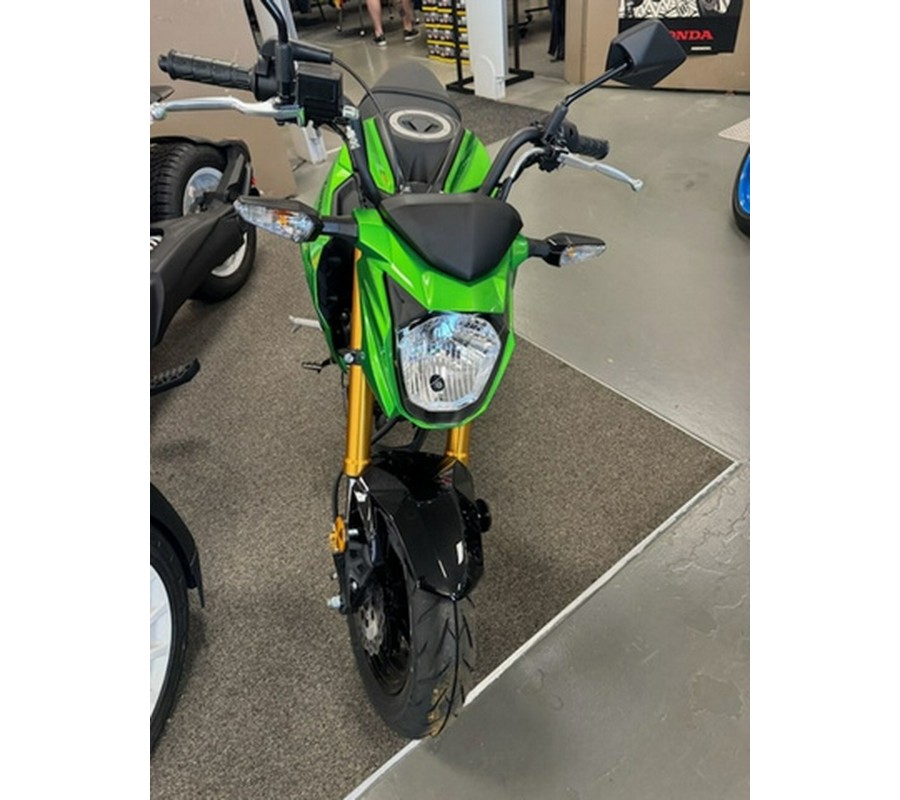 2024 Kawasaki Z125 PRO