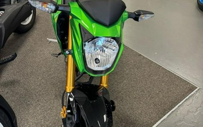 2024 Kawasaki Z125 PRO