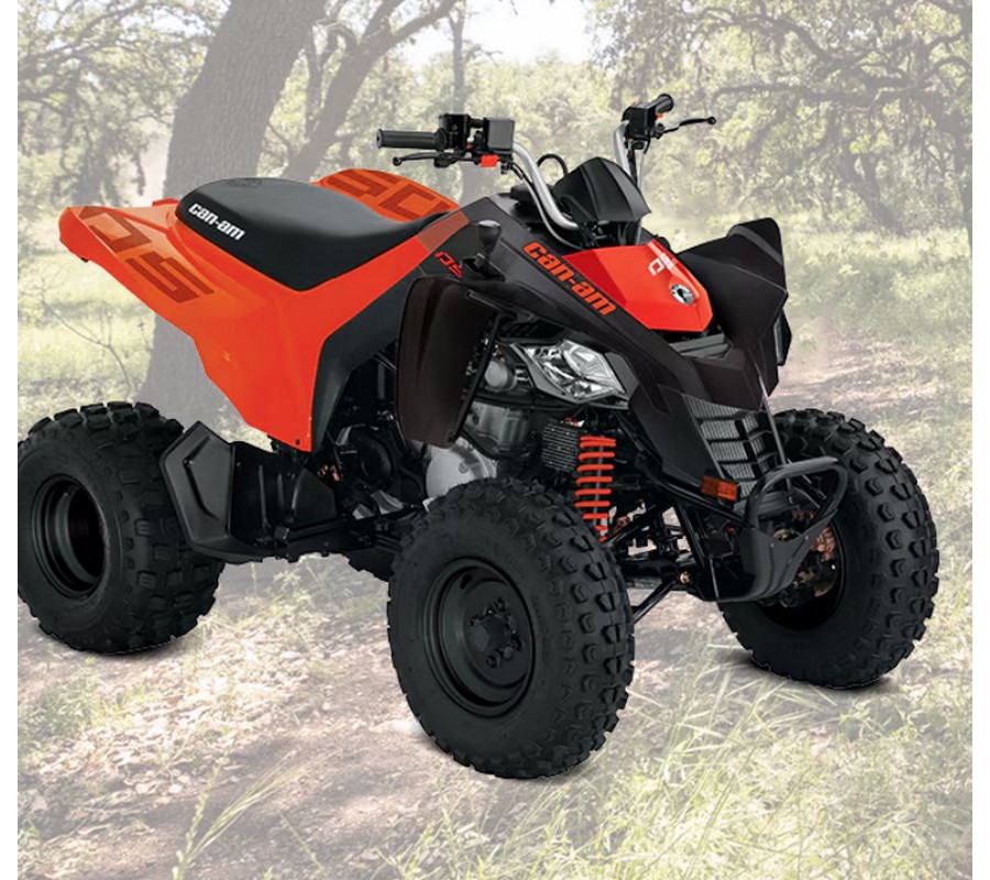 2024 Can-Am DS250