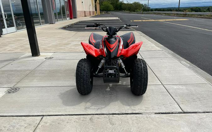 2024 Honda® TRX90X