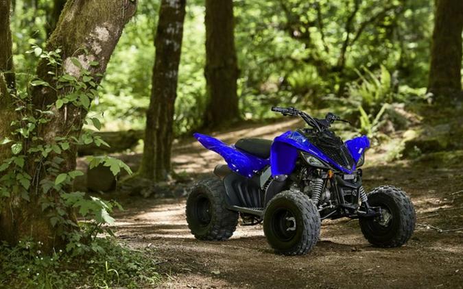 2026 Yamaha Raptor 110