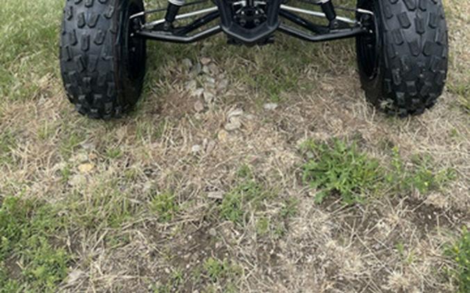 2026 Yamaha Raptor 110