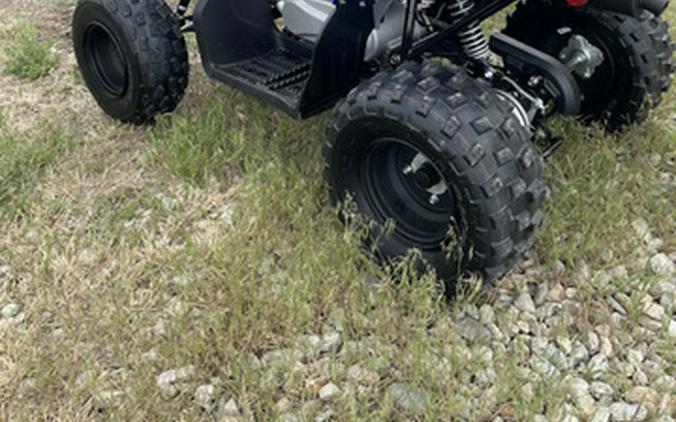 2026 Yamaha Raptor 110