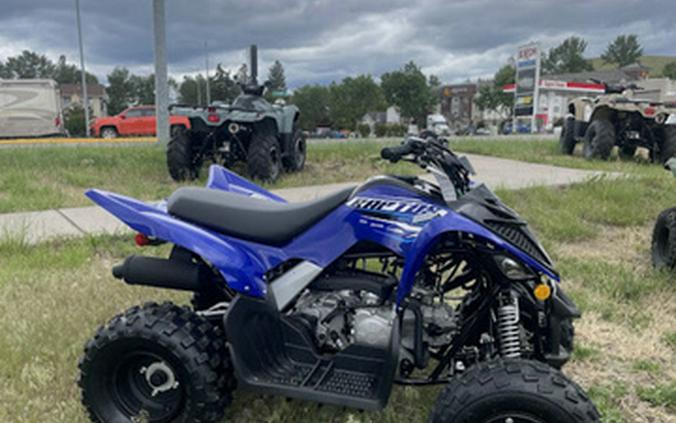 2026 Yamaha Raptor 110
