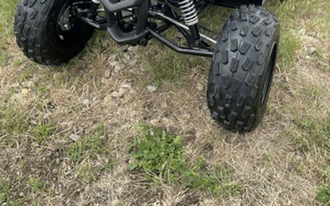 2026 Yamaha Raptor 110