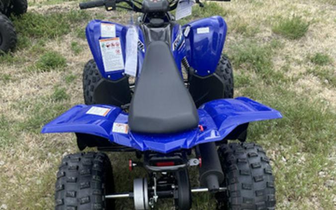 2026 Yamaha Raptor 110
