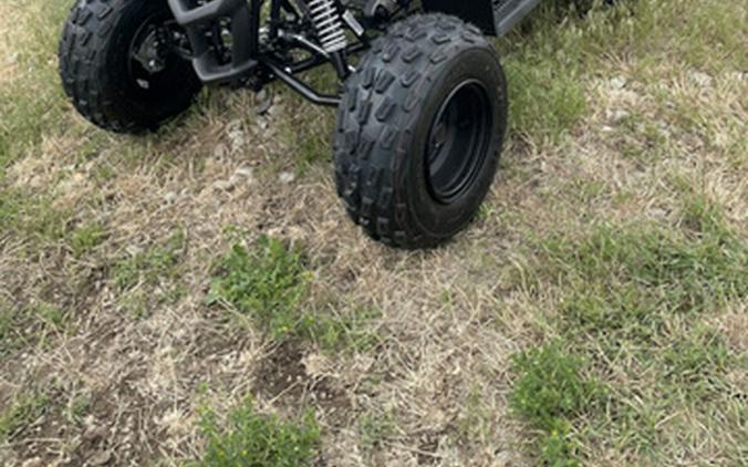 2026 Yamaha Raptor 110