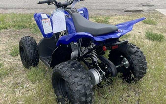 2026 Yamaha Raptor 110