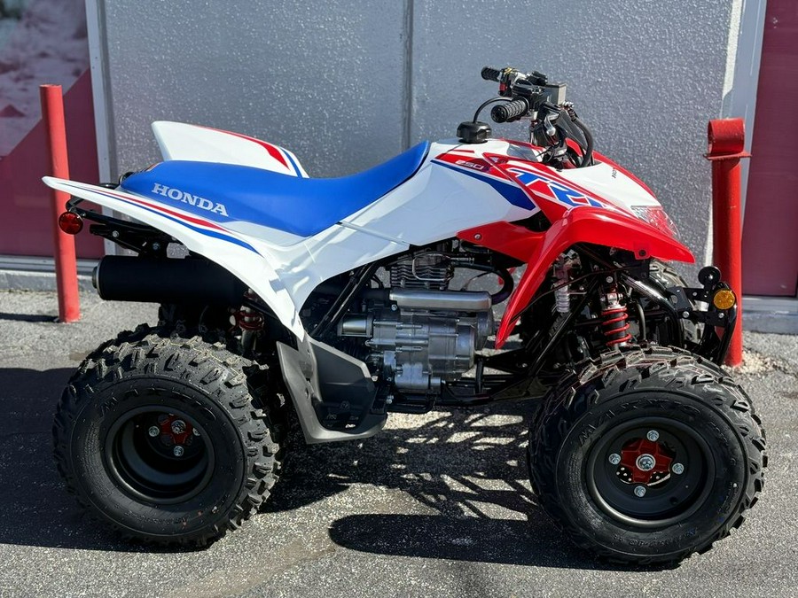 2026 Honda® Trx250X - 202679