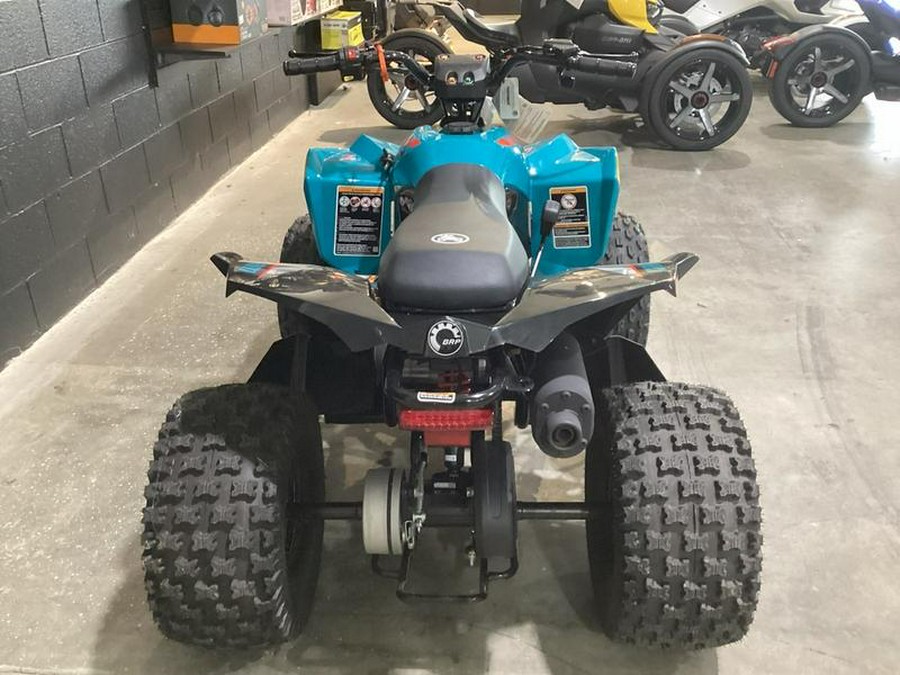2026 Can-Am® Renegade 110 EFI