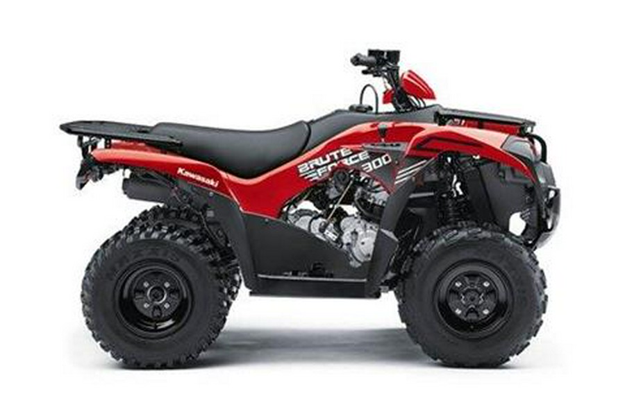 2024 Kawasaki Brute Force 300