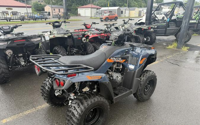 2026 Kawasaki Brute Force 300