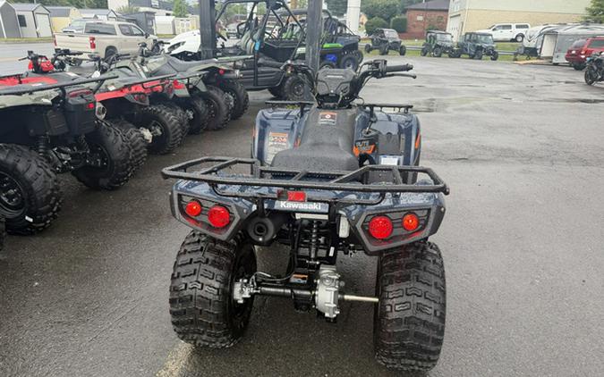 2026 Kawasaki Brute Force 300