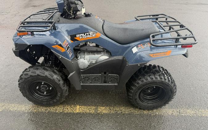 2026 Kawasaki Brute Force 300