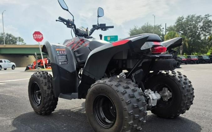 2024 Polaris® Phoenix 200