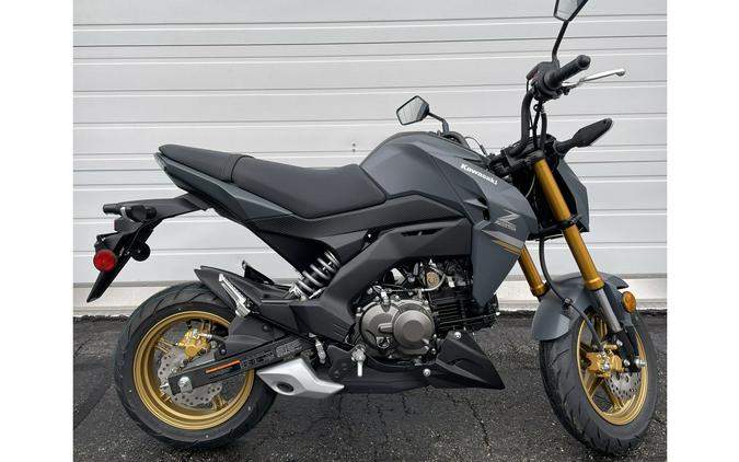 2024 Kawasaki Z125 Pro