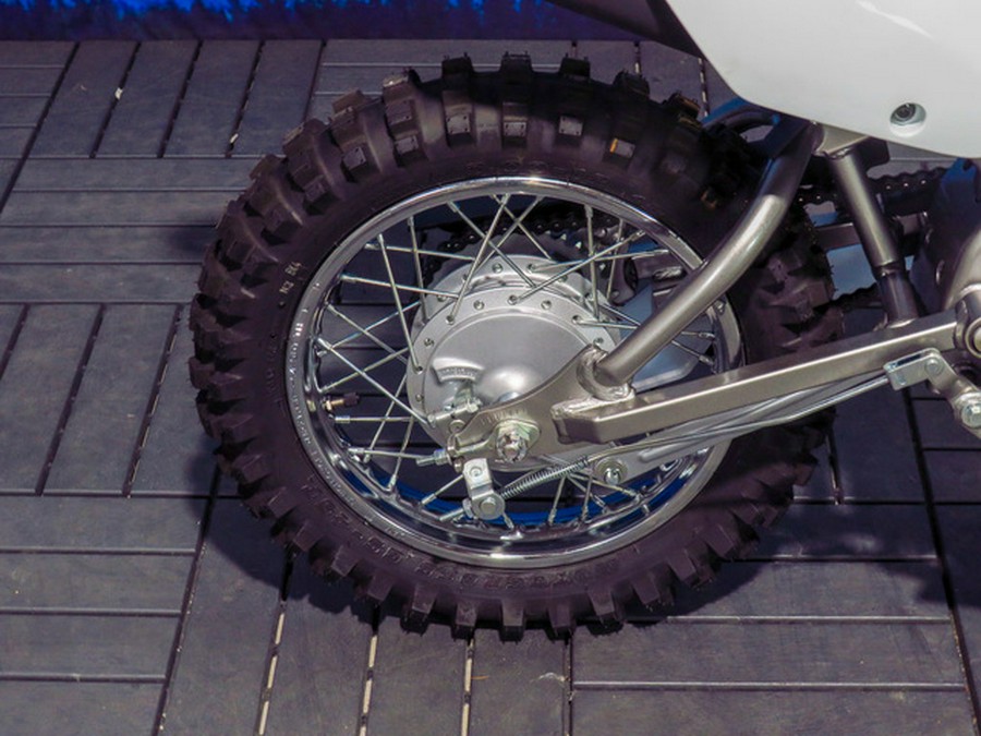 2026 Kawasaki KLX 110R