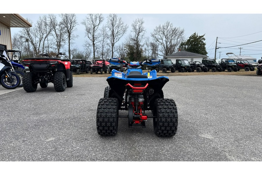 2026 Denago Powersports TRAILHAWK 10 FI