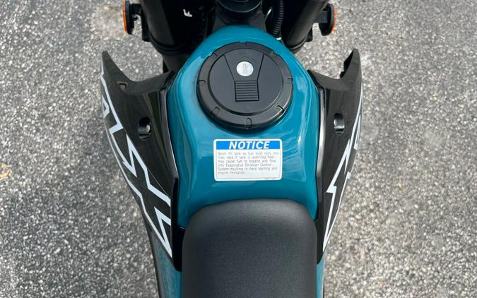 2023 Kawasaki KLX®300SM