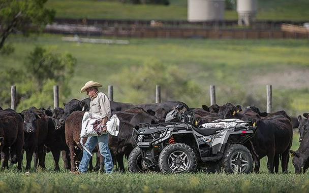 2015 Polaris Sportsman® 570 SP