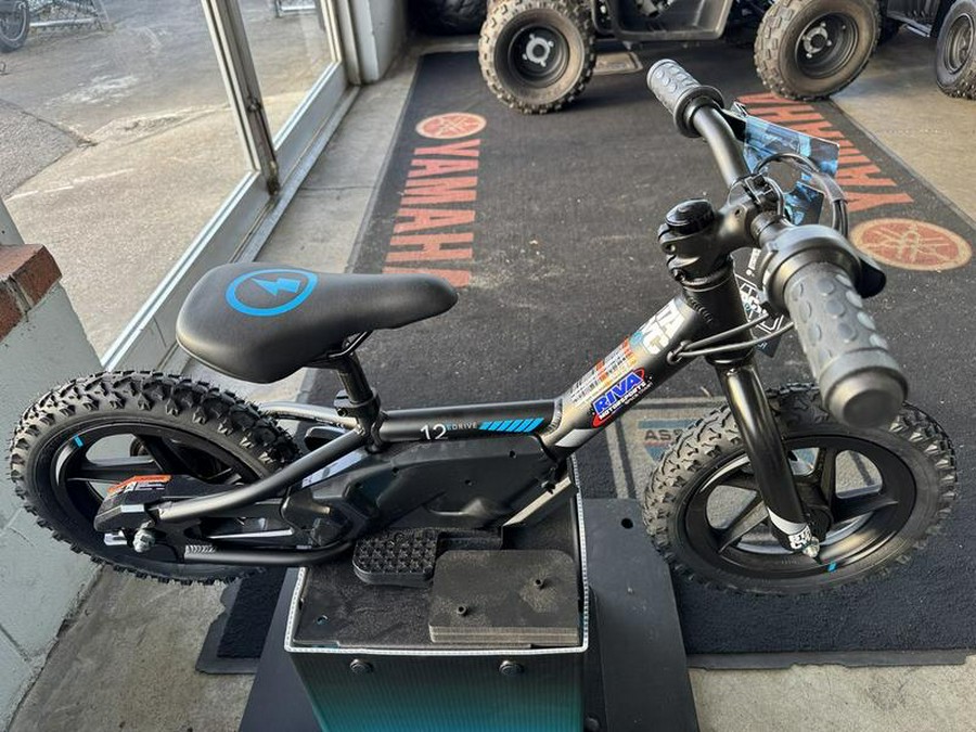 2025 Stacyc 12eDrive