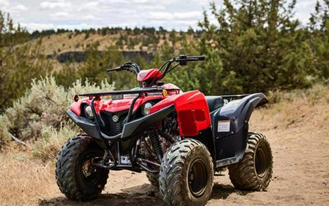 2025 Yamaha Grizzly 110