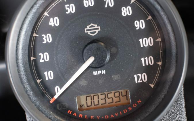 2020 Harley-Davidson Iron 883