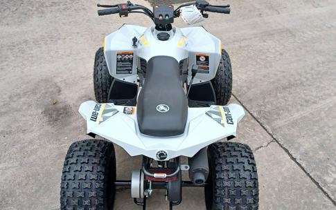 2024 Can-Am™ Renegade 110 EFI