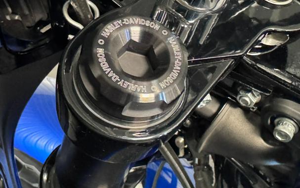 2025 Harley-Davidson LOW RIDER ST