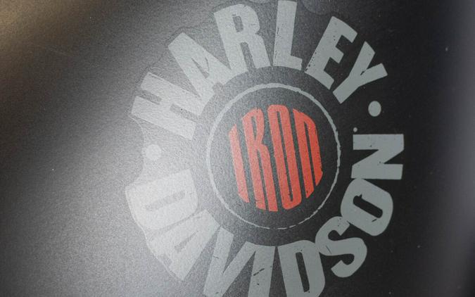 2020 Harley-Davidson Iron 883