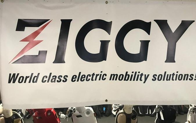 2021 Ziggy Z3 Electric powered