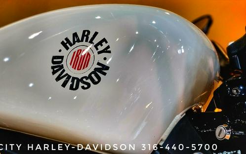 USED 2022 Harley-Davidson Iron 883, XL883N