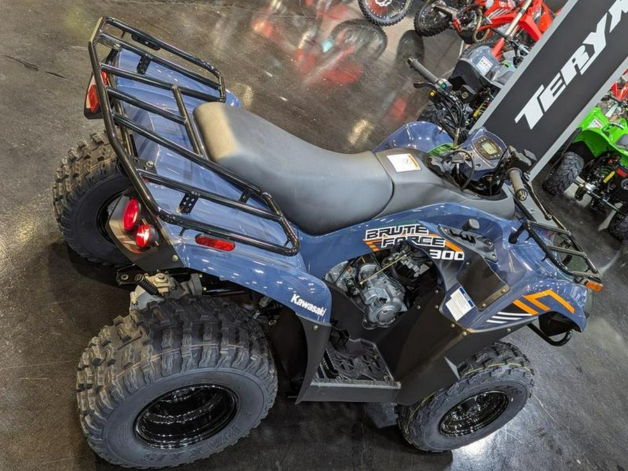 2024 Kawasaki Brute Force® 300