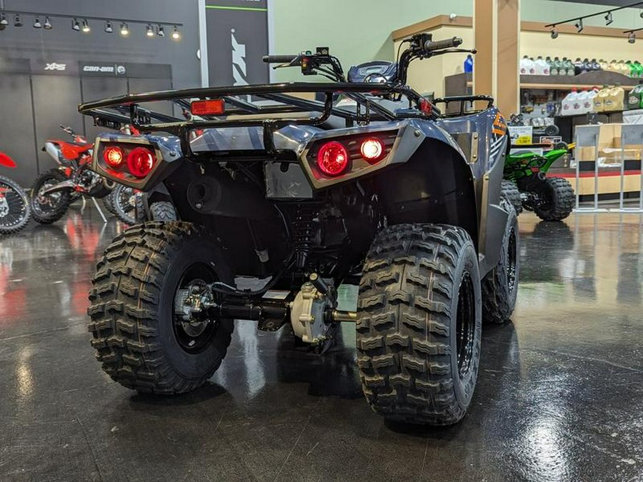 2024 Kawasaki Brute Force® 300