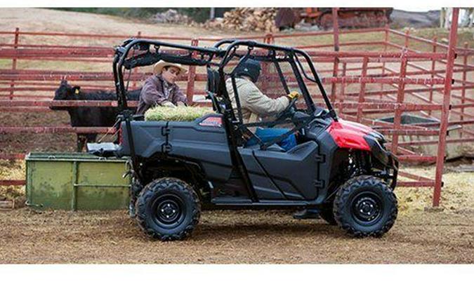 2014 Honda Pioneer™ 700-4