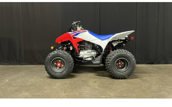 2026 Honda TRX250X