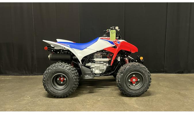 2026 Honda TRX250X