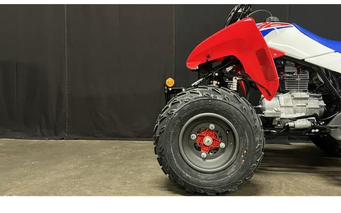 2026 Honda TRX250X