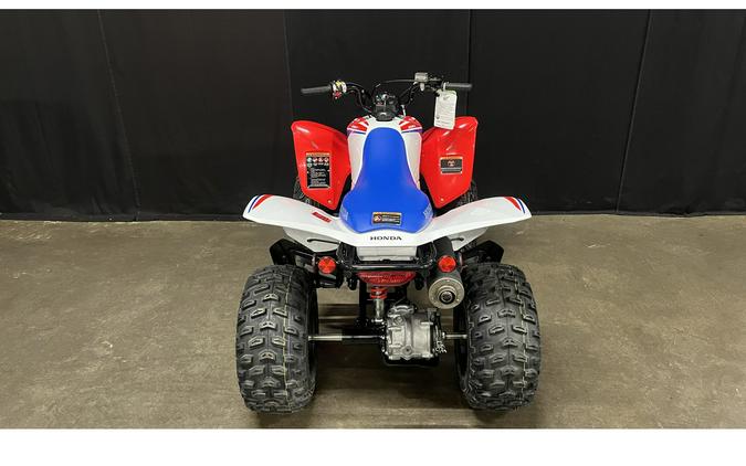 2026 Honda TRX250X