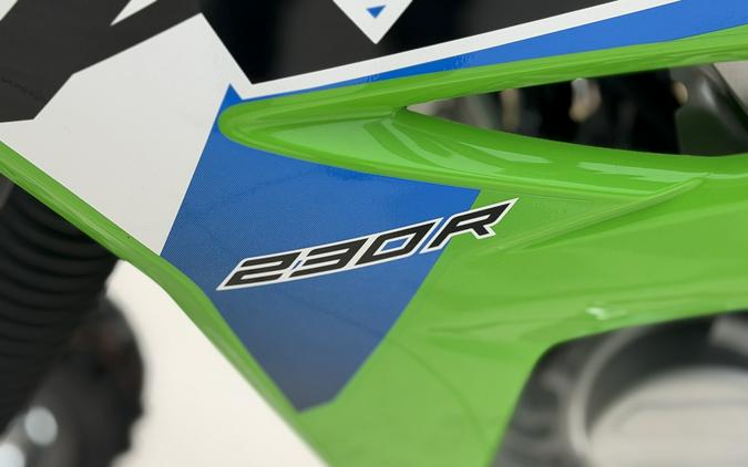 2026 KAWASAKI KLX230R - JP01084