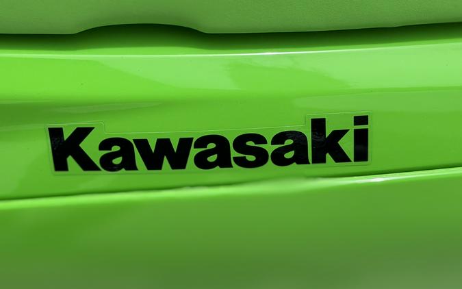 2026 KAWASAKI KLX230R - JP01084