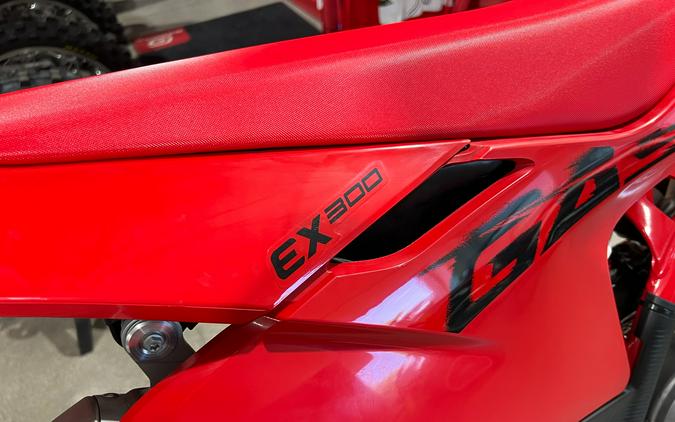 2025 GASGAS EX 300