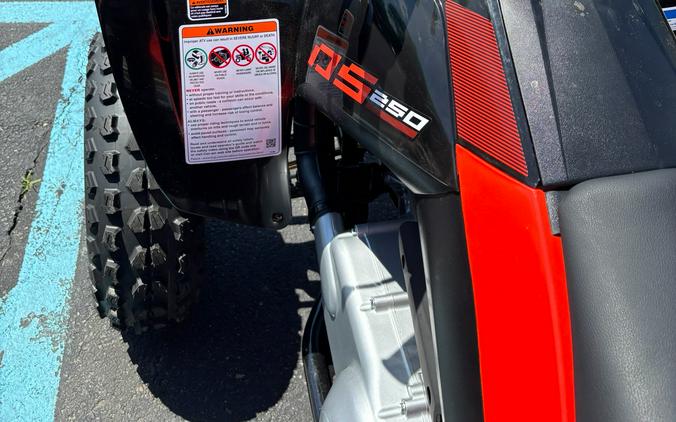2026 Can-Am DS 250